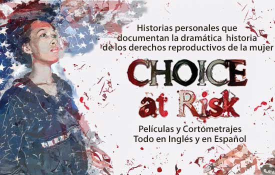 Choice at Risk Banner